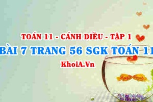 Bài 7 trang 56 SGK Toán 11 tập 1 Cánh Diều